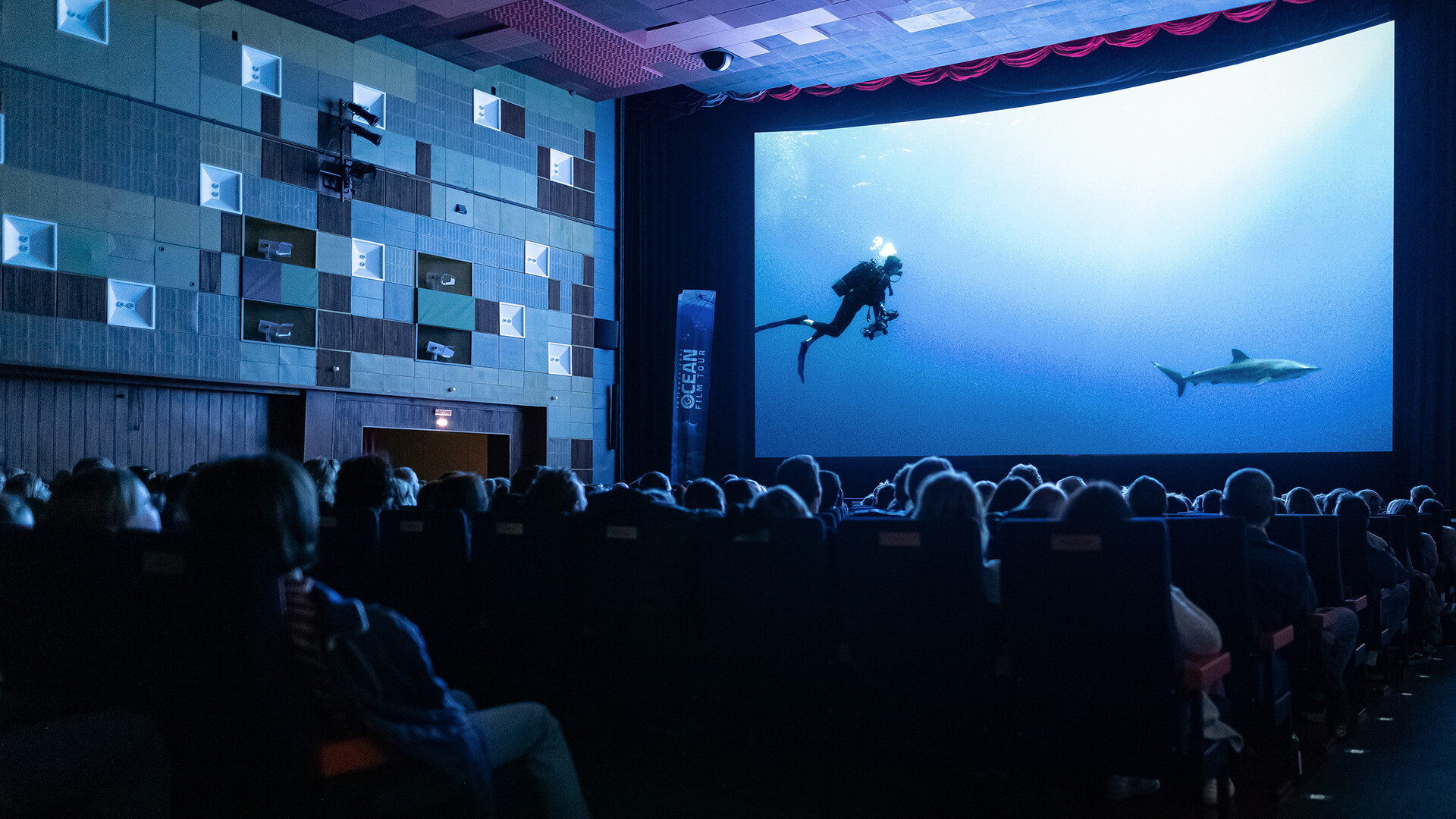 Saal mit Publikum und einer großen Leinwand, auf der ein Taucher und ein Hai zu sehen sind